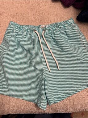 Zara Striped Teal Seersucker Drawstring Mens bathing suit